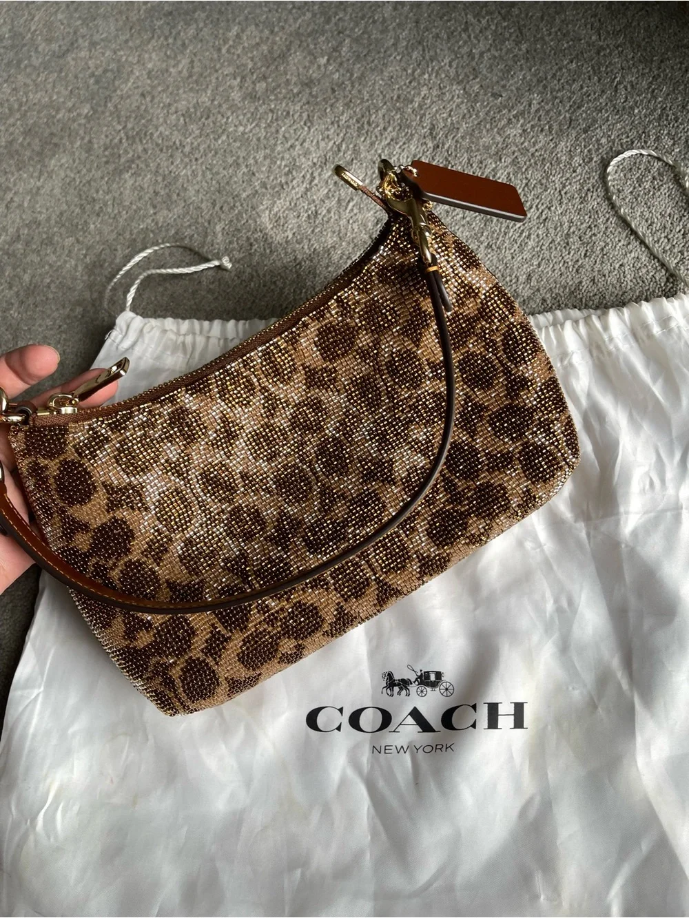 Coach verified authentic